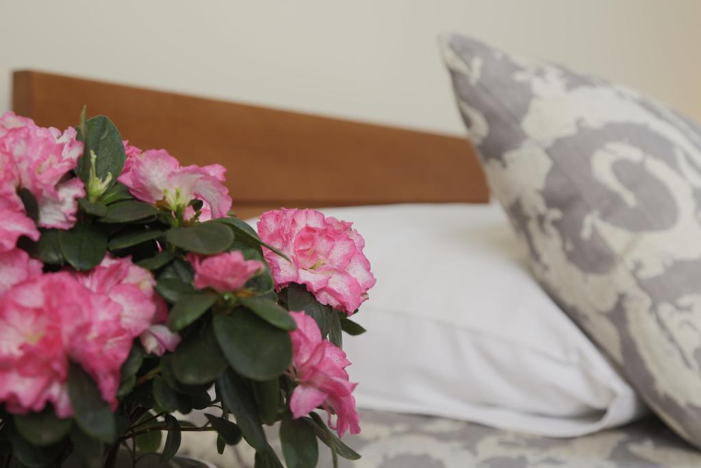 Accommodation Tara بلغراد المظهر الخارجي الصورة